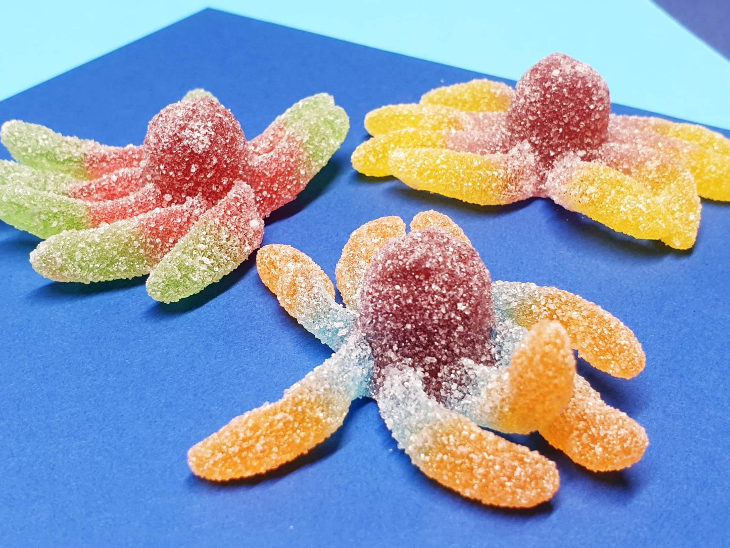 Sour Gummi Octopus