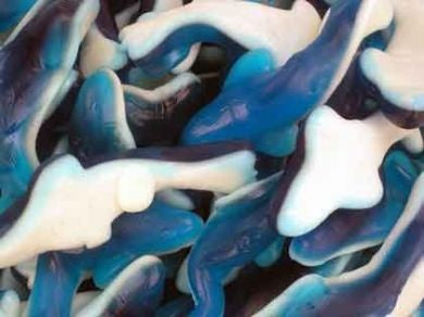 Picture of Gummy Sharks - (Park Lane)