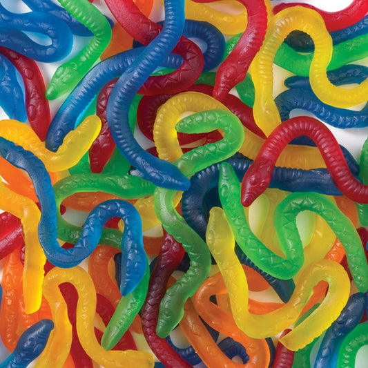Picture of Allen's Snakes Alive 