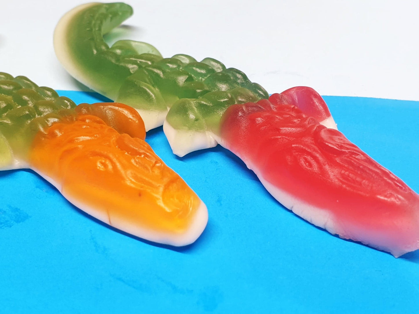 Crocodiles